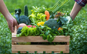 Lợi ích từ việc ăn uống theo mùa