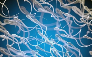 Ca mang thai đầu tiên nhờ AI phân tích tinh trùng