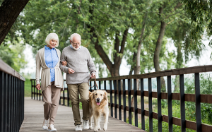 Học bí quyết giữ sức khỏe từ 5 bác sĩ tuổi ngoài 60 