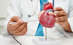 Hẹp van động mạch chủ không triệu chứng đã cần điều trị chưa?