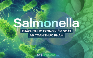 Salmonella - Thách thức trong kiểm soát an toàn thực phẩm 