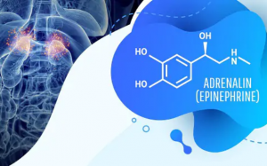 Tìm hiểu chung về loại hormone gây tăng huyết áp, tim đập nhanh