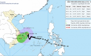 Bão số 15 hướng vào vùng biển từ Gia Lai đến Khánh Hòa 