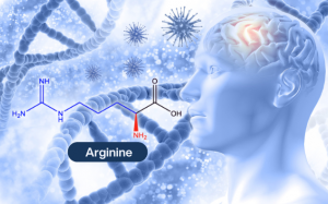 Nghiên cứu về dưỡng chất arginine mở ra hy vọng trì hoãn bệnh Alzheimer