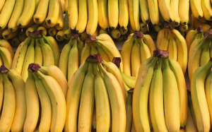 Độ chín của quả chuối tiết lộ điều gì về các lợi ích cho sức khoẻ?