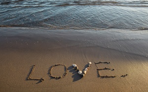 Tử vi thứ Hai (8/12/2025): Bọ Cạp sẽ có tiến triển mới trong chuyện tình cảm