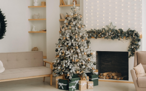 Lựa chọn cây thông Noel thật hay giả để bảo vệ môi trường?