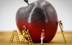 Mối nguy sức khỏe từ gian lận thương mại trong lĩnh vực thực phẩm (P1)