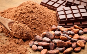Cacao và chocolate: “Vũ khí tự nhiên” giúp bảo vệ sức khỏe