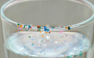 Vi nhựa và hormone: Mối liên hệ đáng lo ngại từ những vật dụng quen thuộc