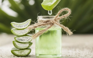 Nước ép lô hội: Bạn đồng hành của hệ tiêu hoá