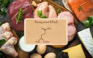 Glutamine: Dưỡng chất giúp dân thể thao phục hồi nhanh chóng