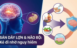 Chuyên gia WHO chỉ cách phòng ngừa bệnh sán dây lợn