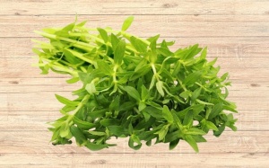 Có nên dùng rau ngổ trị sỏi mật 5,5mm không?