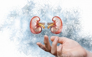 Suy thận độ 3: Giải pháp hỗ trợ làm chậm tiến triển bệnh