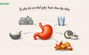 5 yếu tố có thể gây hại dạ dày theo chuyên gia Đông y