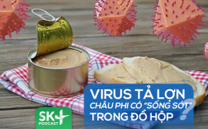 Podcast: Virus tả lợn châu Phi có “sống sót” trong đồ hộp?
