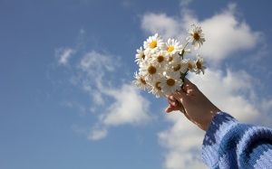 Tử vi thứ Ba (20/1/2026): Bảo Bình sẽ có một ngày khá mơ mộng