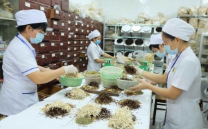 Lần đầu Việt Nam có phác đồ điều trị kết hợp giữa y học cổ truyền và hiện đại