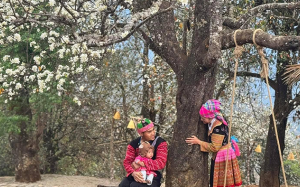 Infographic: Ngọc Chiến - Nậm Nghẹp mùa hoa sơn tra!