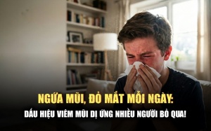 Hắt xì hơi liên tục, ngứa mắt: Có phải viêm mũi dị ứng?