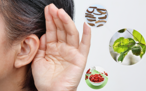 Một số thảo dược có ích với thính lực