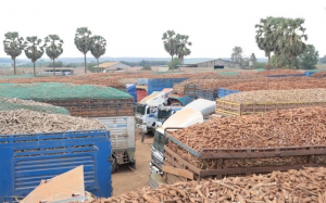 VCCI: Hội thảo “Tháo gỡ vướng mắc trong triển khai Luật An toàn thực phẩm”