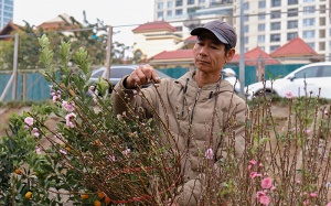 Infographic: Người dân cần chuẩn bị gì để di chuyển an toàn dịp Tết?