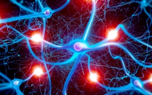 Run do mất cân bằng dẫn truyền thần kinh: Hiểu đúng để xử lý