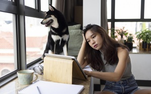 Tử vi thứ Bảy (7/2/2026): Sư Tử đang rất nghiêm túc làm việc, học tập