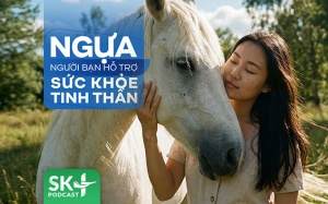 Podcast: Ngựa – người bạn hỗ trợ sức khỏe tinh thần