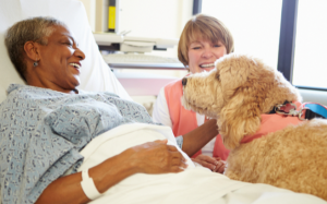 “Bạn đồng hành” đặc biệt của những người bệnh tâm thần