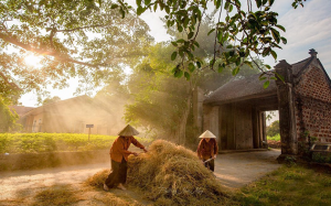 Du Xuân gần Hà Nội: Những điểm đến giàu bản sắc