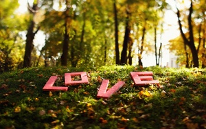 Tử vi thứ Bảy (14/2/2026): Song Ngư sẽ gặp được nhiều thuận lợi 