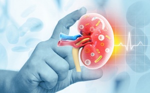 Phát hiện suy giảm chức năng thận: Cơ hội nào cho người bệnh?