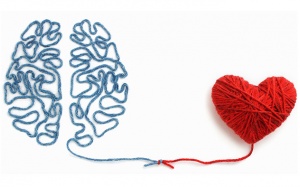 Tim yếu trí nhớ cũng giảm: Sự thật ít được nói đến