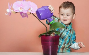 Khi con quá nhạy cảm: 4 dấu hiệu cha mẹ cần để ý