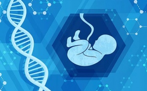 Khi y học bào thai viết tiếp sự sống