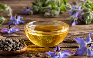 Cây lưu ly: Chứa thành phần hỗ trợ cải thiện da khô