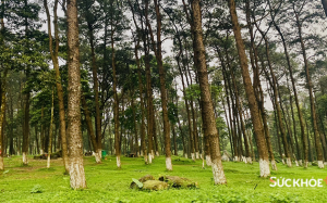 Điểm đến “tránh nóng” cho kỳ nghỉ ngắn ngày tại Hà Nội