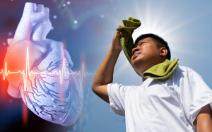 Cách bảo vệ tim mạch trong thời tiết nắng nóng