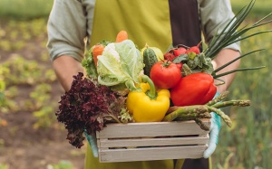 Thực phẩm hữu cơ không đồng nghĩa với an toàn thực phẩm tuyệt đối