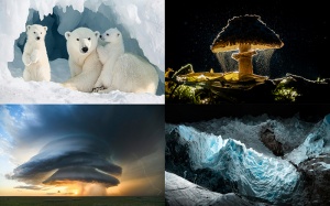 Những bức ảnh ấn tượng nhất Giải thưởng Nhiếp ảnh Sony năm 2026