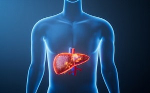 Thay đổi lối sống đơn giản có thể giúp ngừa bệnh gan