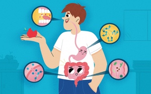 Vì sao hệ tiêu hóa 'chào thua' trước hạt ngô, nấm kim châm?