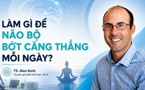 Làm gì để não bộ bớt căng thẳng mỗi ngày?