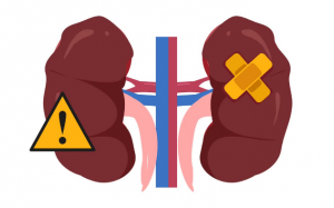 Suy thận độ 1 biểu hiện như thế nào?