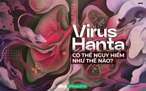 Virus Hanta có thể nguy hiểm như thế nào?