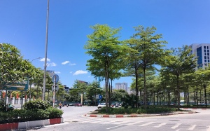 Bắc Bộ sắp có mưa giải nhiệt