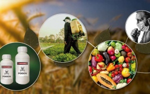 Thuốc trừ sâu có thể gây ra những ảnh hưởng gì tới sức khỏe?